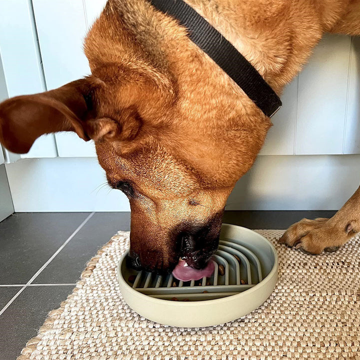 Simple Fashion Slow Feeding Pet Bowl For Healthy Eating