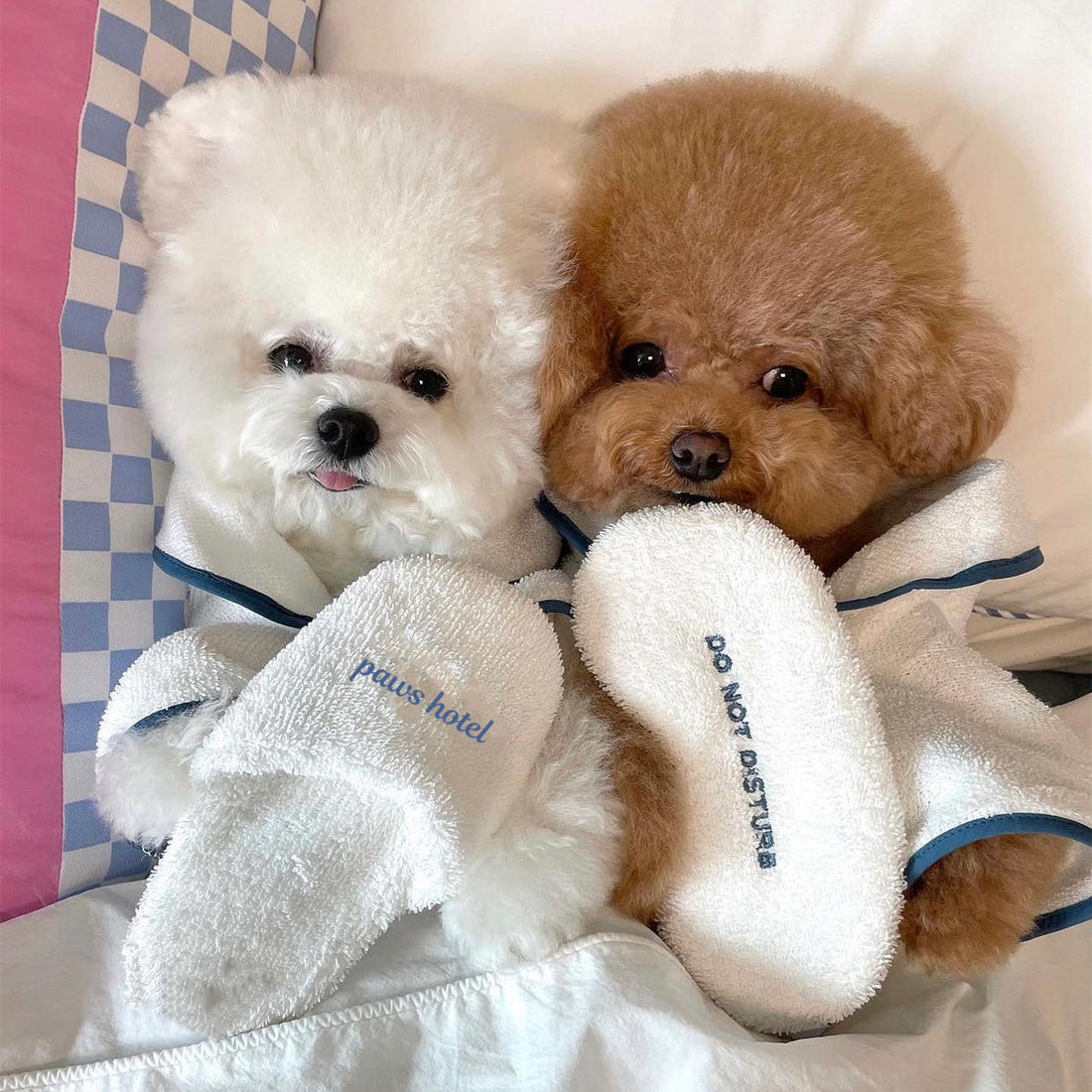 Pet Bathrobe Towel Pajamas Photo Prop Nightwear Clothing