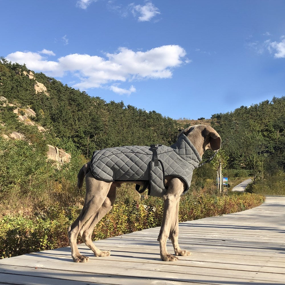 Reflective Full-Body Tactical Pet Jacket For Outdoor Use