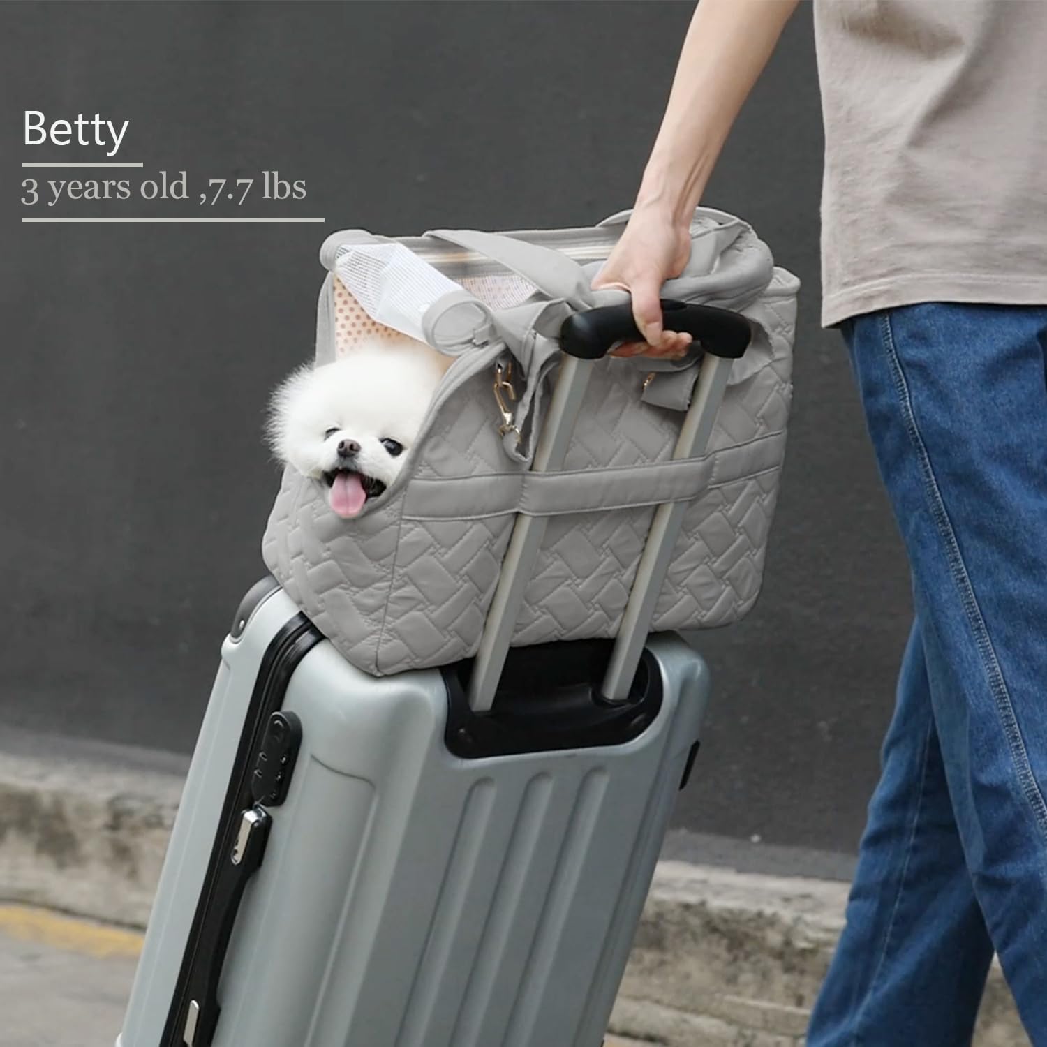 Breathable Mesh Multi Pocket Pet Carrier Tote Bag