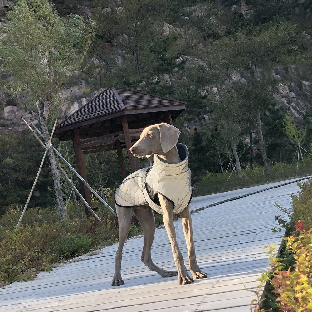 Reflective Full-Body Tactical Pet Jacket For Outdoor Use