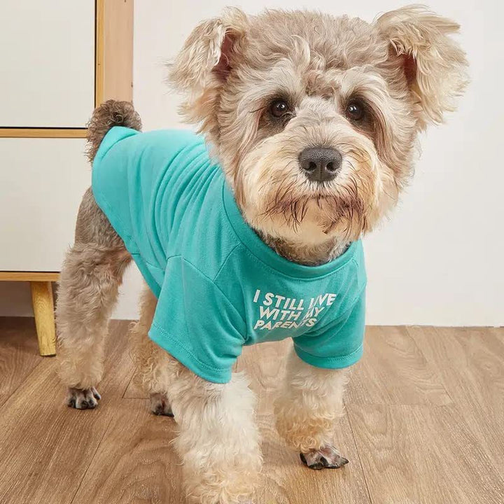 Round Neck Pet T-Shirt Casual Apparel