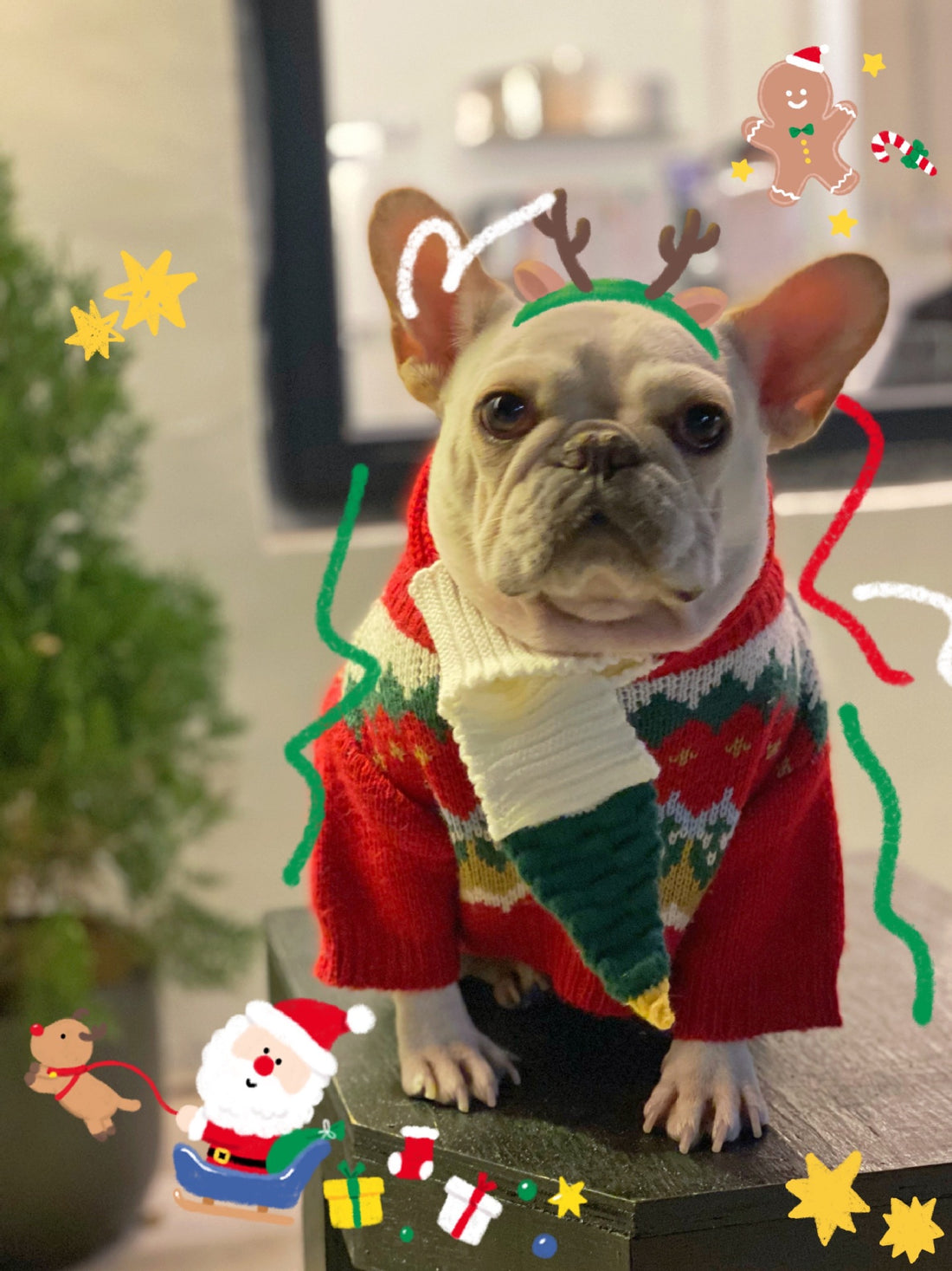 Pet Christmas Sweater Festive Holiday Knitwear Warm Winter Clothing