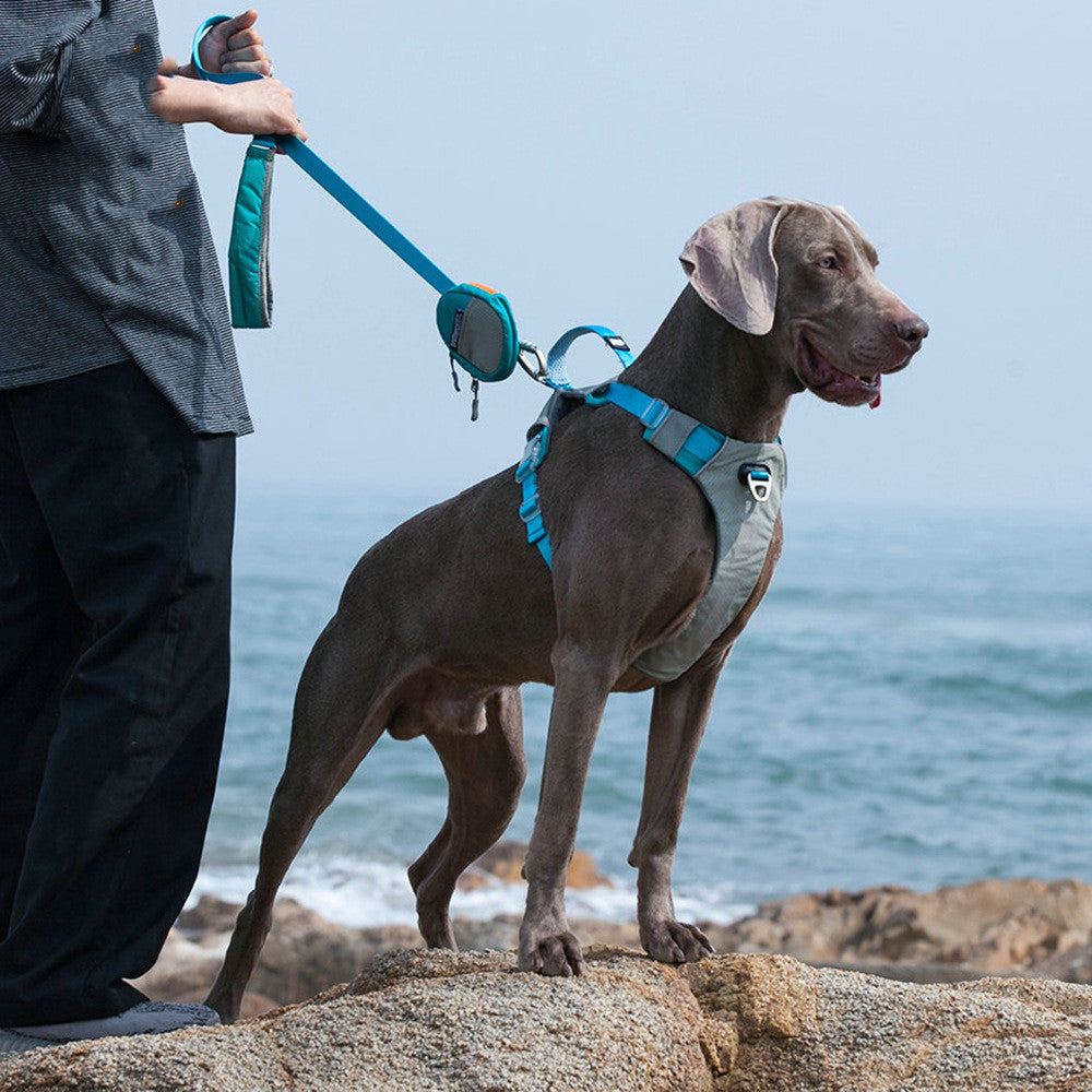 Heavy Duty Chest Strap Adjustable Pet Leash With Storage Bag