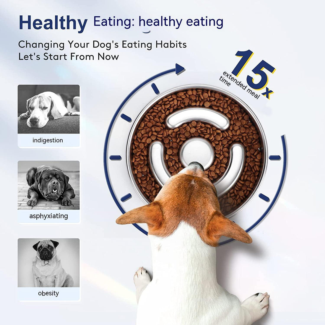 Stainless Steel Slow Feeding Pet Bowl With Neck Support