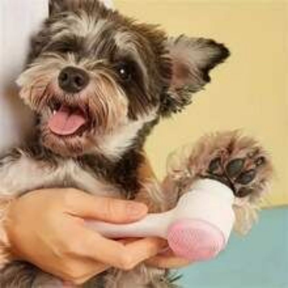 Gentle Nylon Pet Paw Brush For Cleaning And Massage