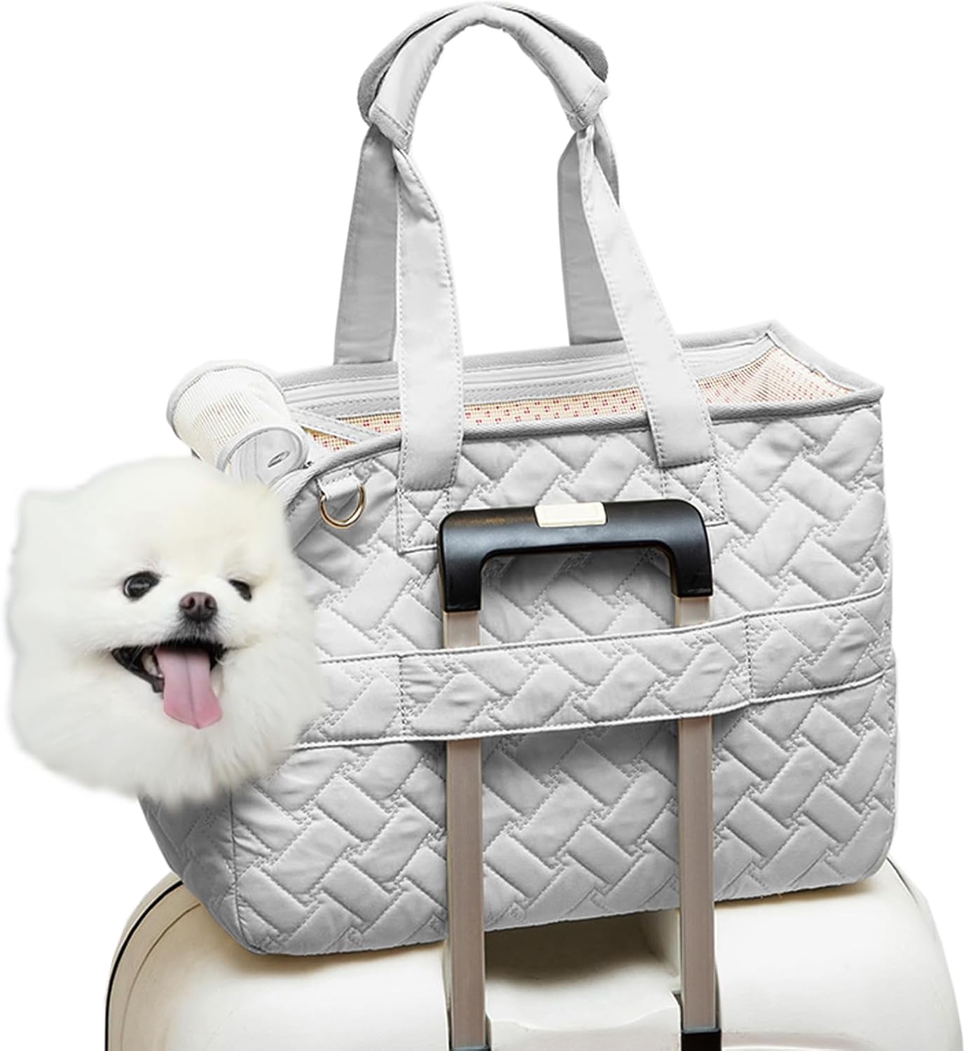 Breathable Mesh Multi Pocket Pet Carrier Tote Bag