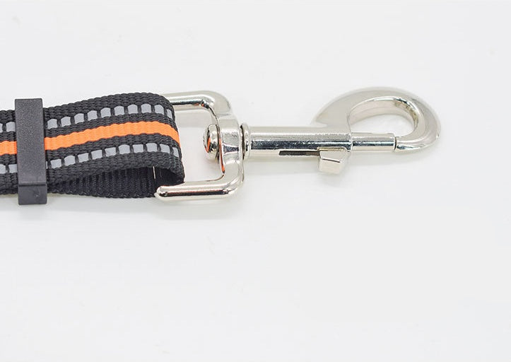 Nylon Retractable Assisted Pet Leash Adjustable Walking Lead