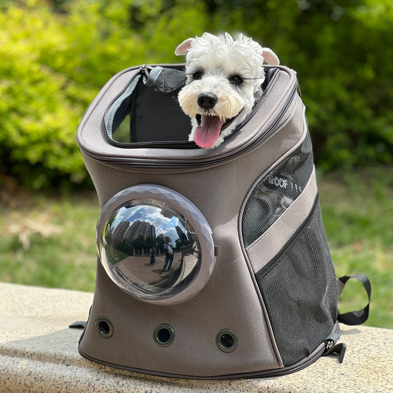 Portable Pet Carrier Backpack For Medium Travel Comfort