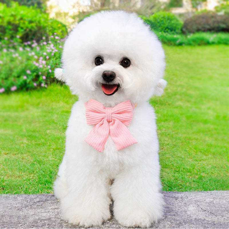 Outdoor Pet Harness With Leash For Secure Walking
