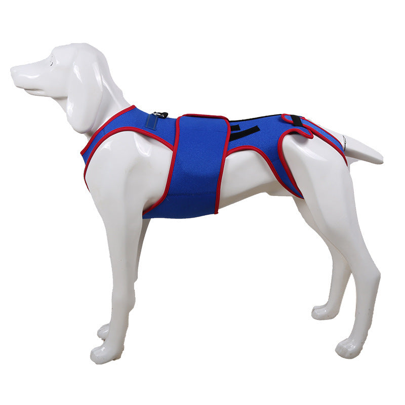 Pet Spine Support Jacket For Posture Correction And Comfort