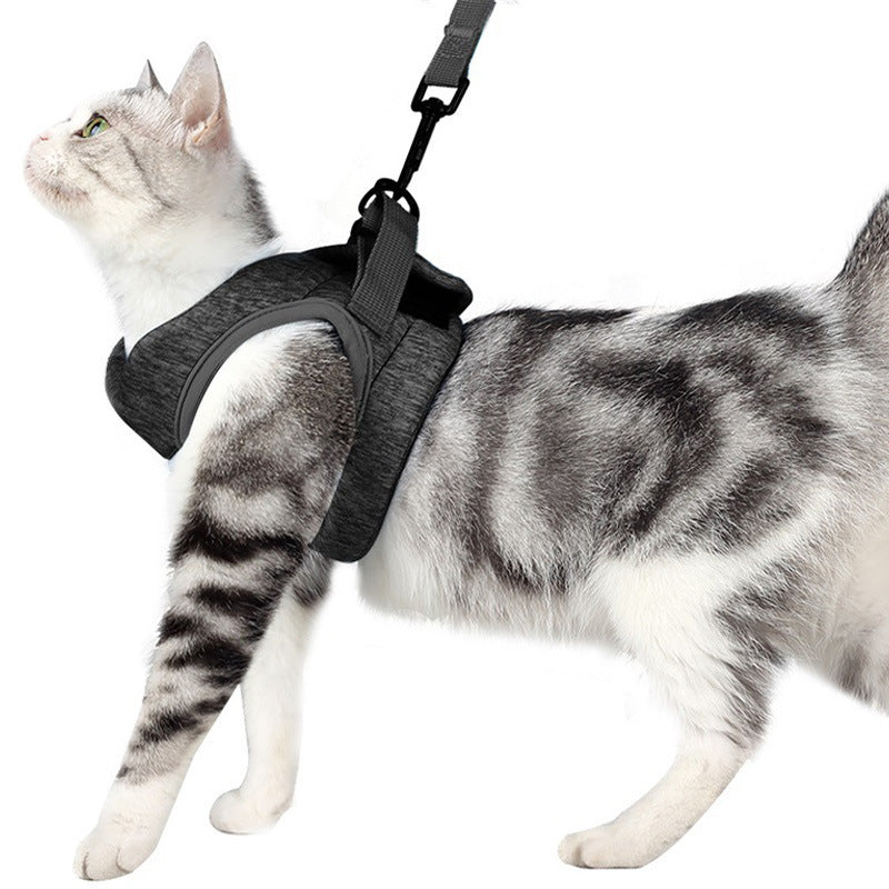 Lightweight Breathable Lace Rope Pet Chest Strap Leash