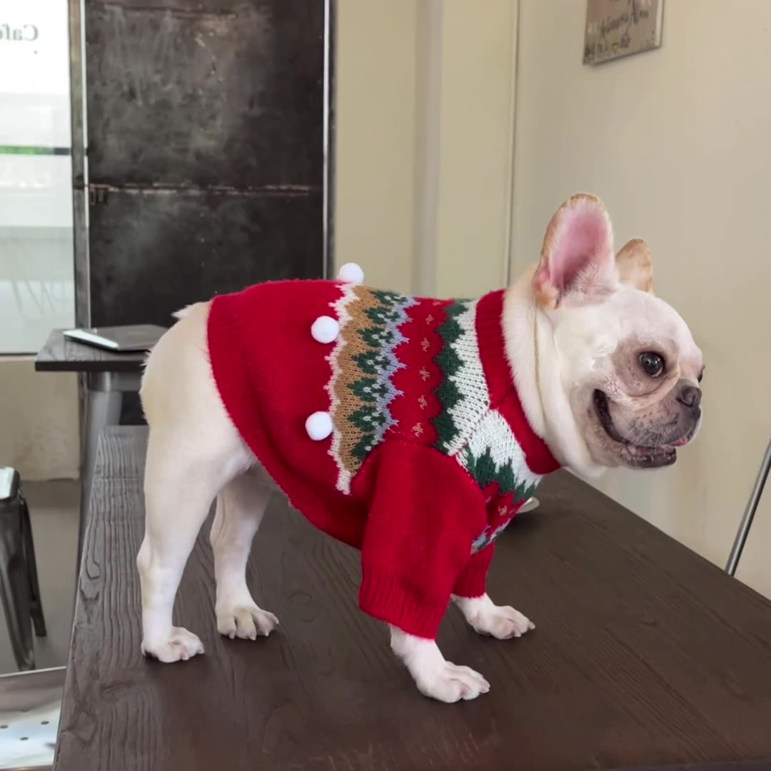 Pet Christmas Sweater Festive Holiday Knitwear Warm Winter Clothing