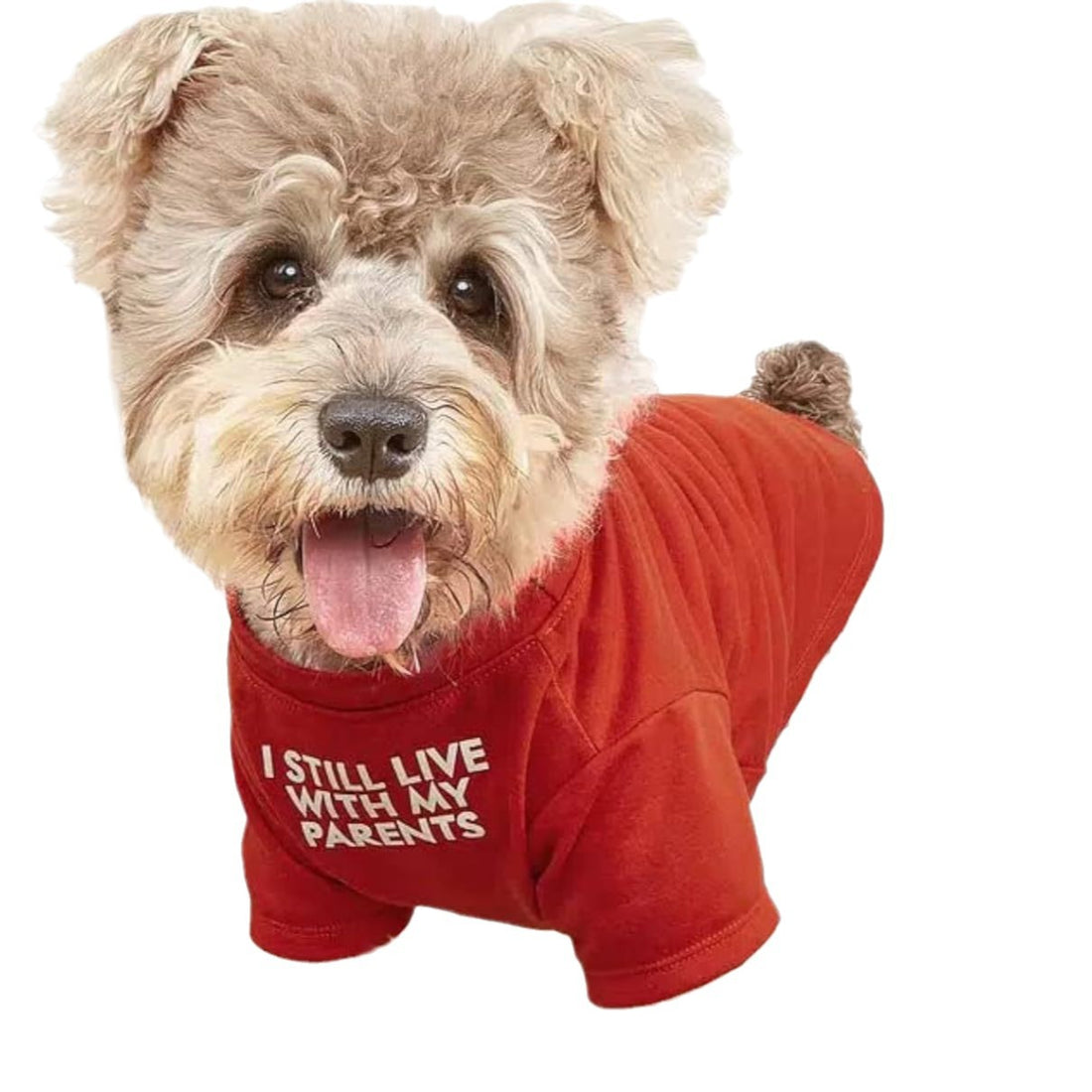 Round Neck Pet T-Shirt Casual Apparel