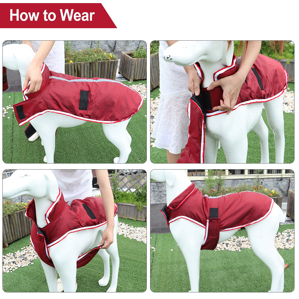 Autumn Winter Waterproof Warm Leisure Pet Jacket