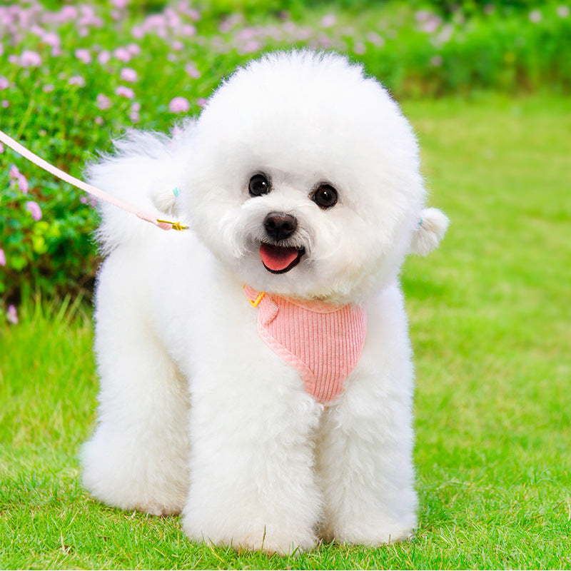 Outdoor Pet Harness With Leash For Secure Walking