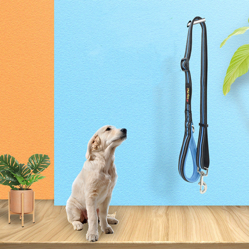 Nylon Retractable Assisted Pet Leash Adjustable Walking Lead