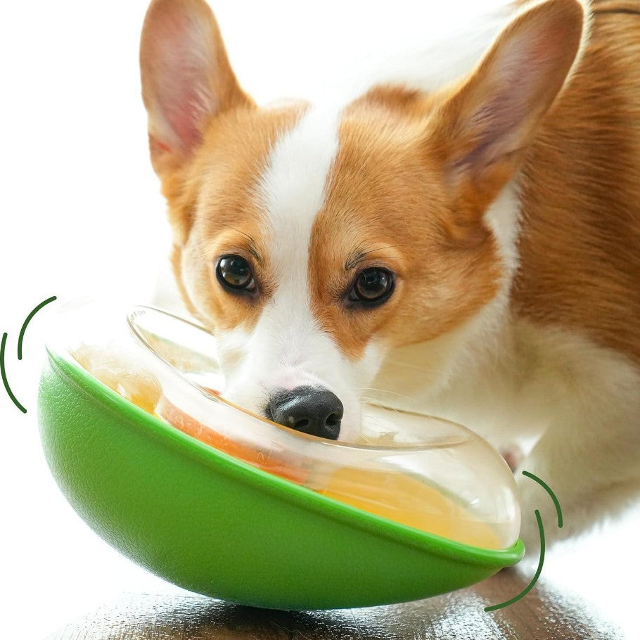 Anti-Tumble Avocado Shape Pet Feeding Bowl