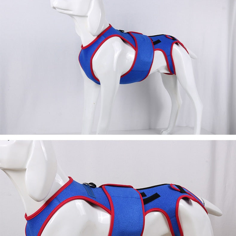 Pet Spine Support Jacket For Posture Correction And Comfort