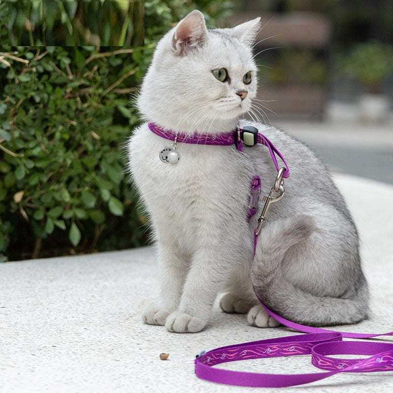 Bell Chest Strap Vest With Leash For Small Pet Control