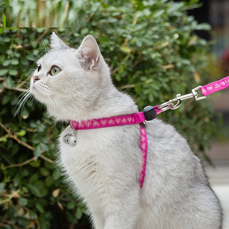 Bell Chest Strap Vest With Leash For Small Pet Control