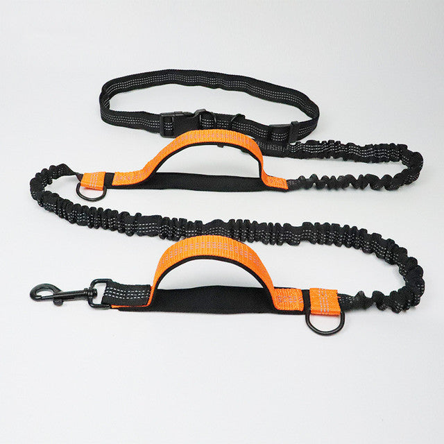 Adjustable Jogging Pet Harness Collar Leash Set