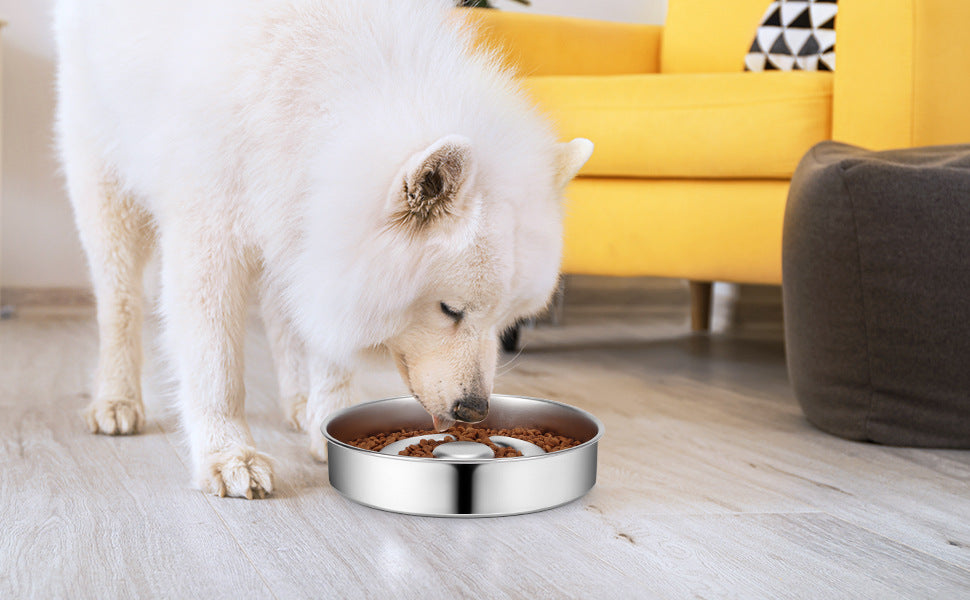 Stainless Steel Slow Feeding Pet Bowl With Neck Support