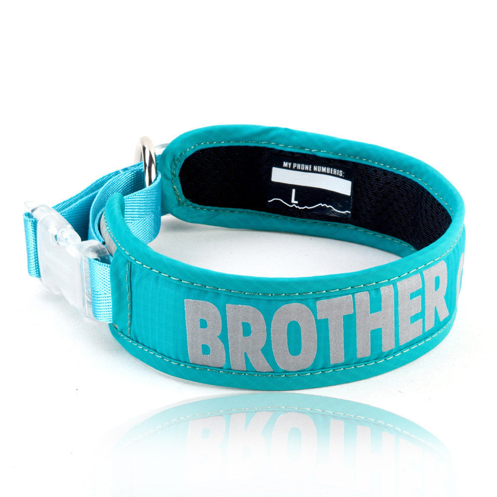 Heavy Duty Chest Strap Adjustable Pet Leash With Storage Bag